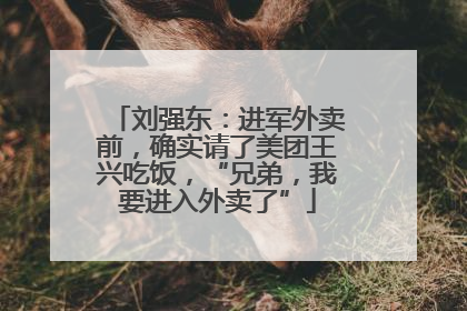 刘强东：进军外卖前，确实请了美团王兴吃饭，“兄弟，我要进入外卖了”