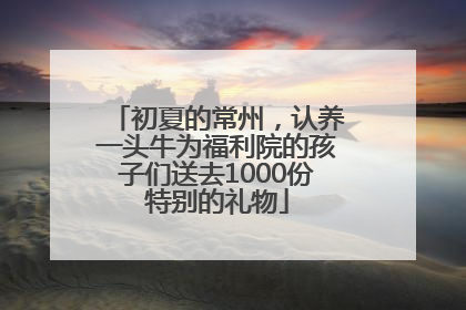 初夏的常州，认养一头牛为福利院的孩子们送去1000份特别的礼物