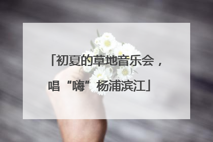 初夏的草地音乐会，唱“嗨”杨浦滨江