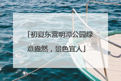 初夏东营明潭公园绿意盎然，景色宜人