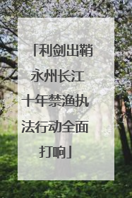 利剑出鞘 永州长江十年禁渔执法行动全面打响