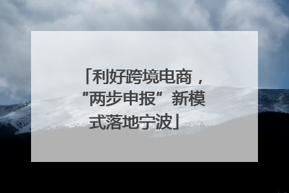 利好跨境电商，“两步申报”新模式落地宁波