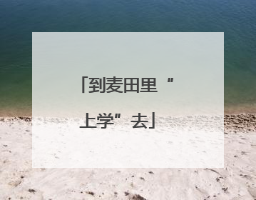 到麦田里“上学”去