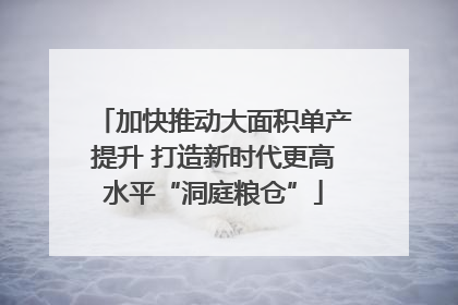 加快推动大面积单产提升 打造新时代更高水平“洞庭粮仓”