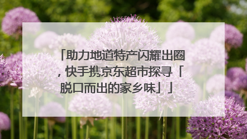 助力地道特产闪耀出圈，快手携京东超市探寻「脱口而出的家乡味」