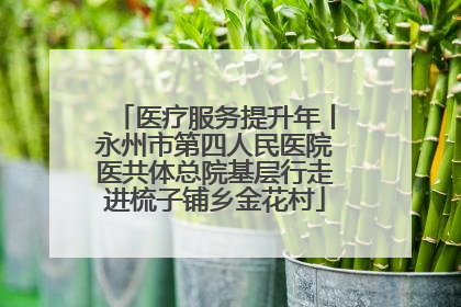 医疗服务提升年丨永州市第四人民医院医共体总院基层行走进梳子铺乡金花村