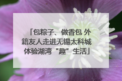 包粽子、做香包 外籍友人走进无锡太科城体验湖湾“趣”生活