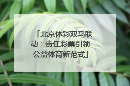北京体彩双马联动：责任彩票引领公益体育新范式