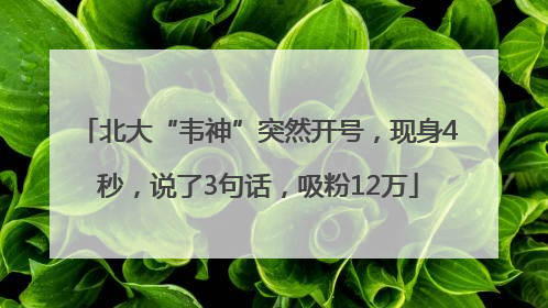北大“韦神”突然开号，现身4秒，说了3句话，吸粉12万