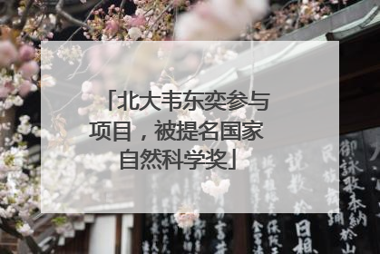 北大韦东奕参与项目，被提名国家自然科学奖