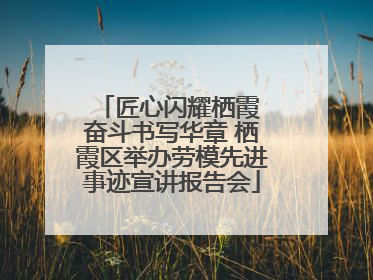 匠心闪耀栖霞 奋斗书写华章 栖霞区举办劳模先进事迹宣讲报告会