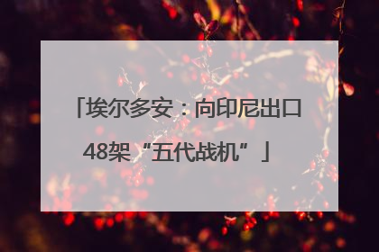 埃尔多安：向印尼出口48架“五代战机”