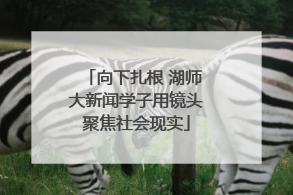 向下扎根 湖师大新闻学子用镜头聚焦社会现实