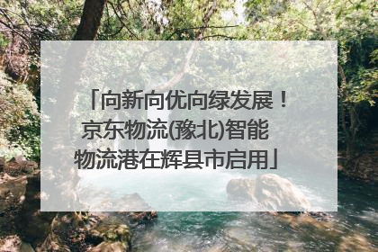 向新向优向绿发展！京东物流(豫北)智能物流港在辉县市启用