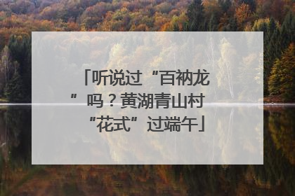 听说过“百衲龙”吗？黄湖青山村“花式”过端午