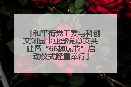 和平街党工委与科创文创园事业部党总支共建暨“66趣玩节”启动仪式隆重举行