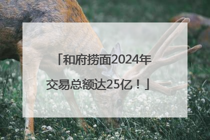和府捞面2024年交易总额达25亿！