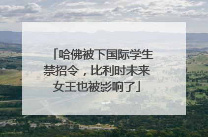 哈佛被下国际学生禁招令，比利时未来女王也被影响了