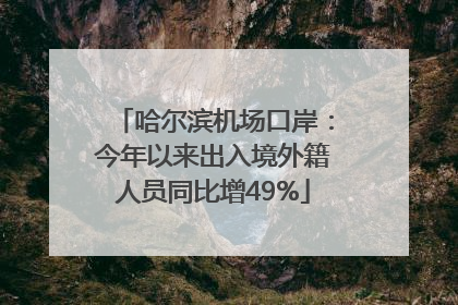 哈尔滨机场口岸：今年以来出入境外籍人员同比增49%