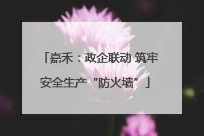嘉禾：政企联动 筑牢安全生产“防火墙”