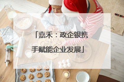 嘉禾：政企银携手赋能企业发展
