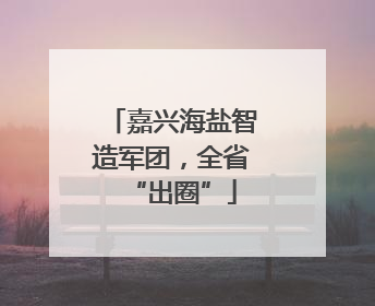 嘉兴海盐智造军团，全省“出圈”
