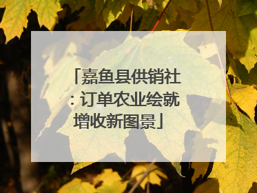 嘉鱼县供销社：订单农业绘就增收新图景