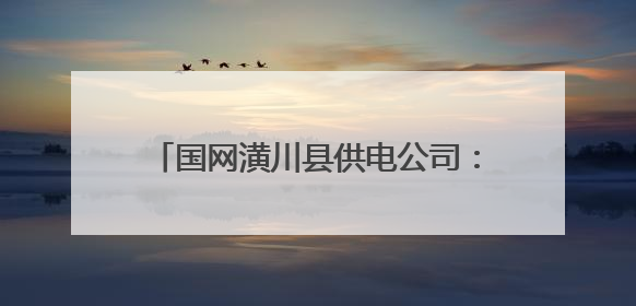 国网潢川县供电公司：贴心服务麦收电无忧