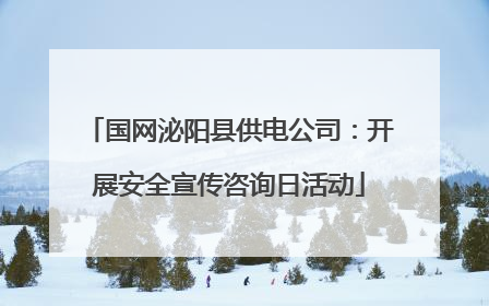 国网泌阳县供电公司：开展安全宣传咨询日活动