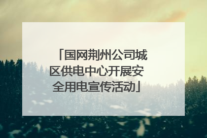 国网荆州公司城区供电中心开展安全用电宣传活动