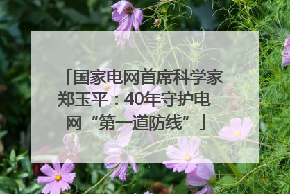 国家电网首席科学家郑玉平：40年守护电网“第一道防线”