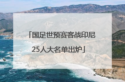 国足世预赛客战印尼25人大名单出炉