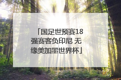国足世预赛18强赛客负印尼 无缘美加墨世界杯