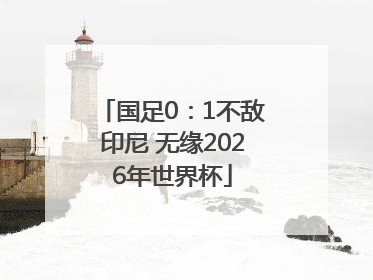 国足0：1不敌印尼 无缘2026年世界杯