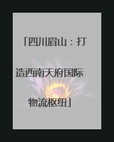 四川眉山：打造西南天府国际物流枢纽