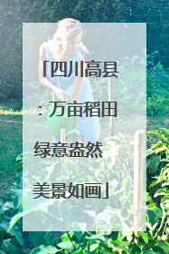 四川高县：万亩稻田绿意盎然 美景如画