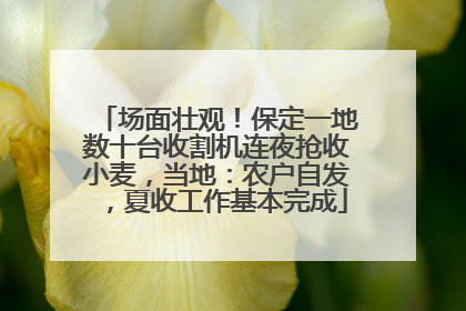 场面壮观！保定一地数十台收割机连夜抢收小麦，当地：农户自发，夏收工作基本完成