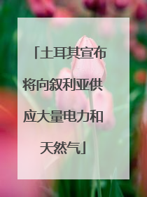 土耳其宣布将向叙利亚供应大量电力和天然气