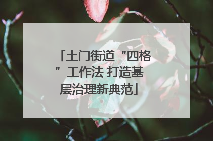 土门街道“四格”工作法 打造基层治理新典范