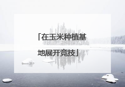 在玉米种植基地展开竞技