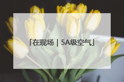 在现场｜5A级空气