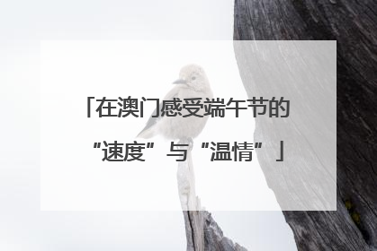 在澳门感受端午节的“速度”与“温情”