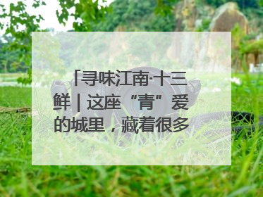 寻味江南·十三鲜｜这座“青”爱的城里，藏着很多“洋气”美食