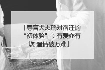 导盲犬杰瑞对宿迁的“初体验”：有爱亦有坎 温情破万难