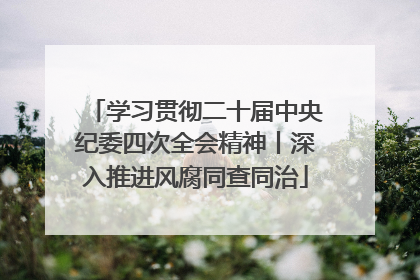 学习贯彻二十届中央纪委四次全会精神丨深入推进风腐同查同治