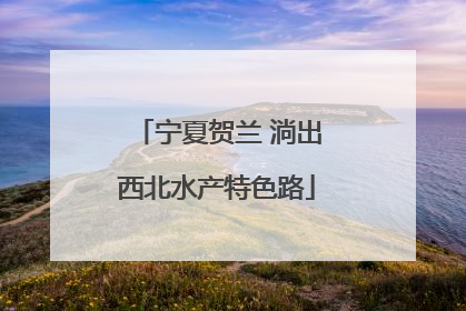 宁夏贺兰 淌出西北水产特色路
