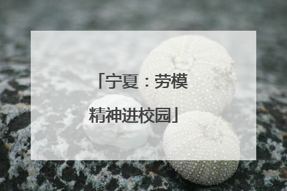 宁夏：劳模精神进校园