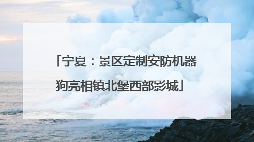 宁夏：景区定制安防机器狗亮相镇北堡西部影城