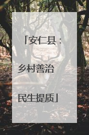 安仁县：乡村善治 民生提质