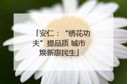 安仁：“绣花功夫”提品质 城市焕新惠民生